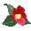 camellia-01.gif