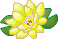 waterlily1.gif