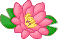 waterlily4.gif