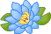 waterlily5.gif
